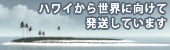 �ϥ磻����������ȯ��