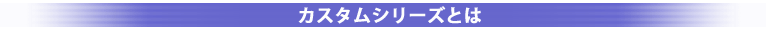 �J�X�^���V���[�Y�Ƃ�
