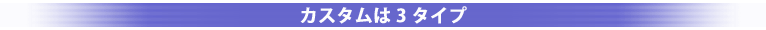 �J�X�^����3�^�C�v