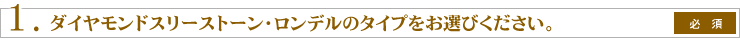1.�_�C�������h�X���[�X�g�[���E�����f���̃^�C�v�����I�т��������B