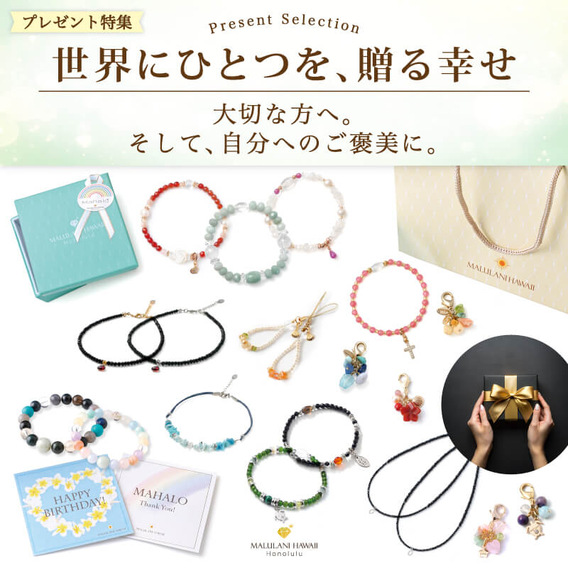 �������̥ץ쥼���